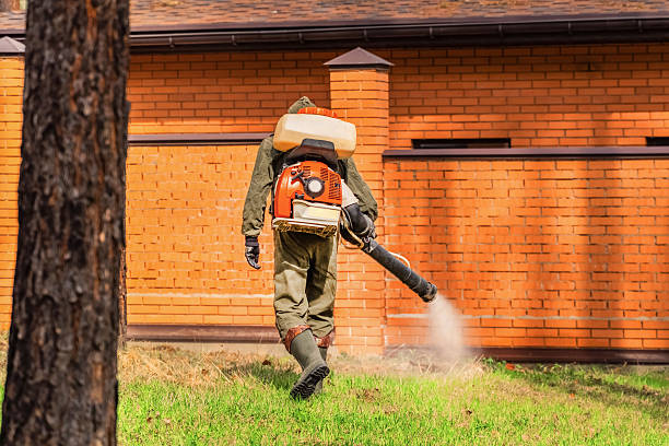 Trusted Termite Control service in Kittitas, WA - Nex Pest Control